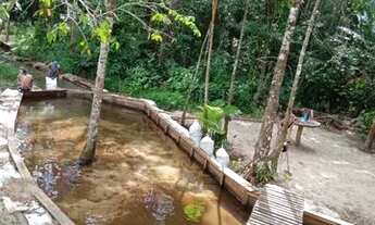 Imagem: Terreno com igarapé entre Castanhal e Santa