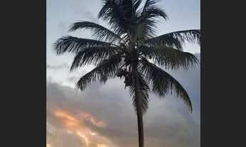 Imagem 3: ALUGO CASA TEMPORADA ALCOBAÇA