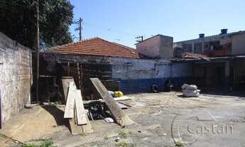 Imagem 4: Terreno para alugar na vila ema