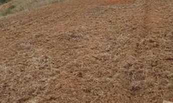 Imagem 2: Vendo terrenos 12,5 x 40m 500m²