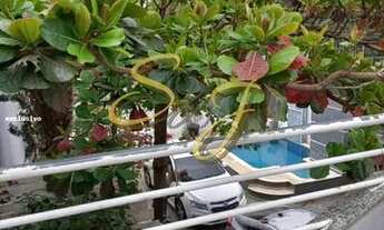 Imagem 6: Casa para Venda em Paulínia, Betel, 3 dormitórios, 1 suíte, 3 banheiros, 4 vagas