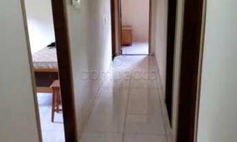 Imagem 7: Rural Chácara em Ipiguá