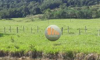 Imagem 7: Fazenda com 2 dormitórios à venda, 1548800 m² por R$ 6.400.000,00 - Zona Rural - Jesúpoli