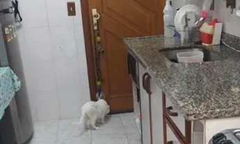 Imagem 2: Apartamento no Tucuruvi