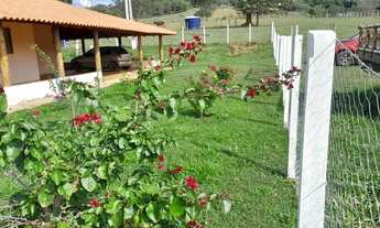 Imagem 2: Sitio em santo antonio da alegria 3.5 alqueires 1.100.000.00 ( cel