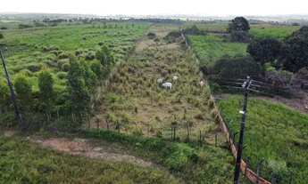 Imagem 5: Terreno para chácara