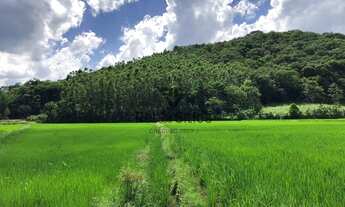 Imagem 6: Sítio 3 Quartos Rio dos Cedros - SC - Consulte