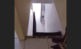 Imagem: Aluguel casa altos guama