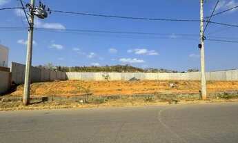 Imagem: Lotes financiados no Bosque das Palmeiras