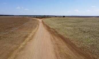 Imagem 2: Fazenda com pivô município de João pinheiro