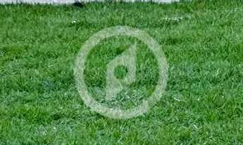 Imagem 6: Casa Geminada de 3 quartos sendo uma suíte