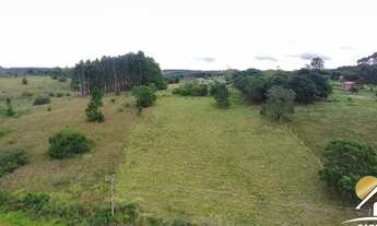 Imagem 2: Sítio com linda vista em águas claras-viamão