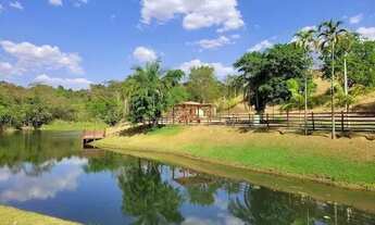 Imagem 2: Imóvel para venda com 1000 metros quadrados em Área Rural de Trindade - Trindade - GO