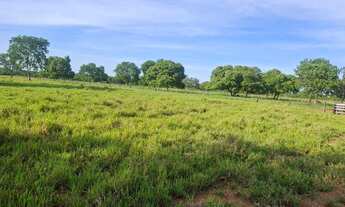 Imagem 2: Linda fazenda de 266 hectares...a 6.600.000,00