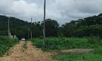 Imagem 4: Chácara em Trindade