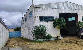 Imagem: Galpão Comercial com Amplo Espaço 375mts²