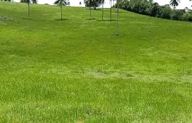 Imagem 6: Vendo maravilhosa Fazendinha em jaguaripe