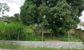 Imagem 6: Oportunidade Imperdível - Terreno Residencial/Comercial na Vargem Pequena