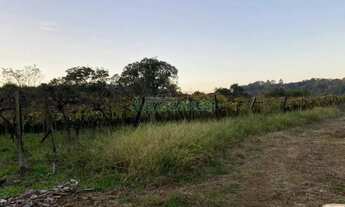 Imagem 6: Terreno Vila Lobos Caxias do Sul