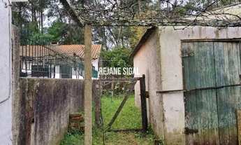 Imagem 5: Terreno Três Vendas