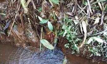 Imagem 6: Sítio à venda, 20000 m² por R$ 960.000,00 - São Silvestre (São Silvestre) - Jacareí/SP