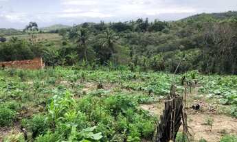 Imagem 4: Terreno na Linha Verde