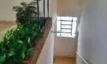 Imagem 3: Casa 3 dorm. - Vila Prado