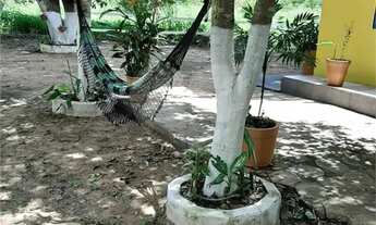 Imagem 3: Chácara com 2 quartos à venda em Área Rural De Cuiabá - MT