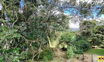 Imagem 6: Terreno para Venda em Nova Petrópolis, Pinhal Alto