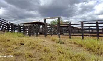 Imagem 4: FAZENDA EM LAJEDINHO - 4000 TAREFAS