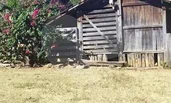 Imagem 2: Fazenda à venda em Centro - GO