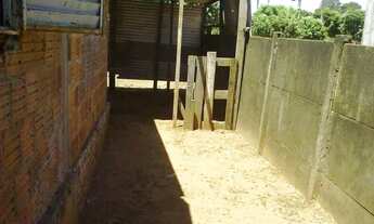 Imagem 6: Vendo casa em Fernandópolis