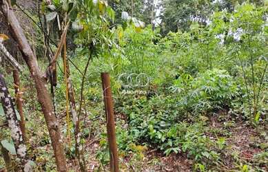 Imagem: Lote à venda - Em Macacos!