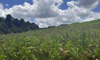 Imagem 3: Terrenos para venda tem 500 metros quadrados em Colégio - Ibiúna - SP