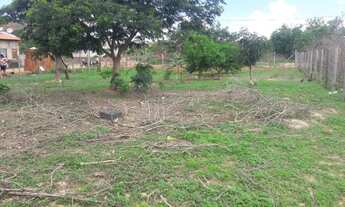 Imagem 5: Chacreamento Oasis Gv