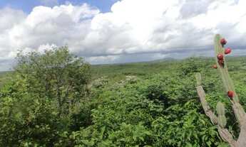 Imagem 2: Fazenda Quixeramobim - Vendo!