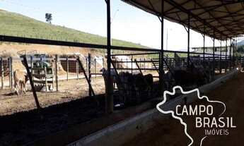 Imagem 3: Oportunidade Rural! Fazenda de 106 alqueires a poucos minutos do Centro de São José!