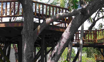 Imagem 6: Lote - Bosque do Coqueiral - 360m² - A vista