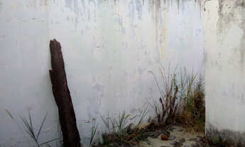 Imagem 3: Lote - Jardim dos Buritis - 310m² - IPTU: 65,00/Mês