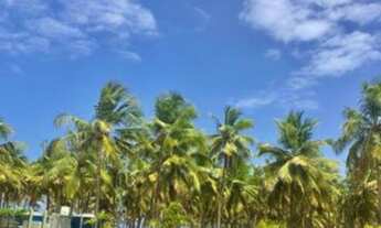 Imagem 3: Lote no Maikai /