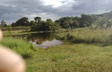 Imagem 3: Chácara de 12,5 hectares. Com Córrego