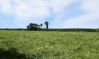 Imagem 3: Fazenda a venda a poucos km de Valença-BA