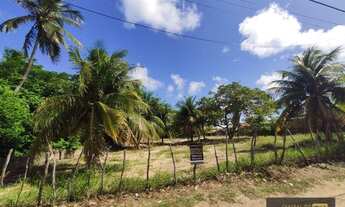 Imagem 4: Junior creci-4745 - OPORTUNIDADE - Venda - Terreno em Frente ao Mirante dos Golfinhos - 5