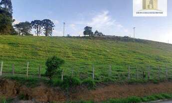 Imagem 5: Área à venda, 30000 m² por R$ 1.500.000 - Santa Cruz - Santo Antônio do Pinhal/SP