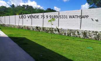 Imagem 3: Leo vende, ap Madrid, contrato de gaveta, analisa carro e moto