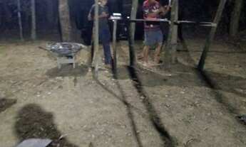 Imagem 7: Chácara para venda tem 80000 metros quadrados - Silvânia - Goiás