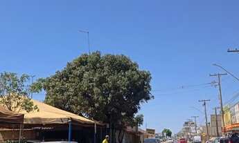 Imagem 2: Lote/Terreno para venda tem 300 metros quadrados Vicente Pires rua 12