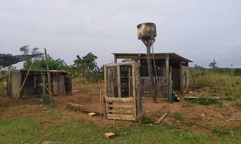 Imagem 5: Chácara de 5 hectares a 800 metros do asfalto na MS 040 - Campo Grande - MS