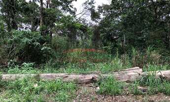 Imagem 7: Sítio para venda Santa Maria Antônio Carlos - 334