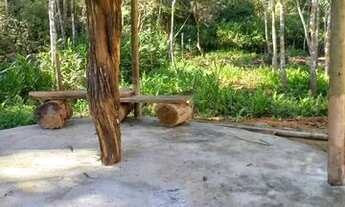 Imagem 2: Excelente acesso, com muita água!